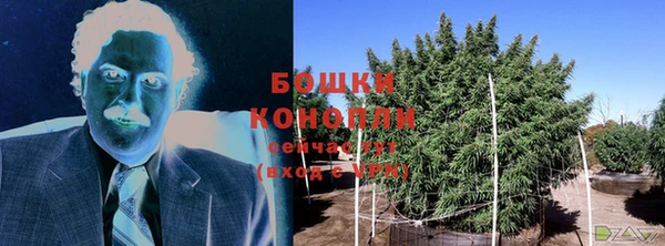 гидропоника Зеленодольск