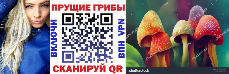 Купить где  Дудинка  Псилоцибиновые грибы Cubensis 